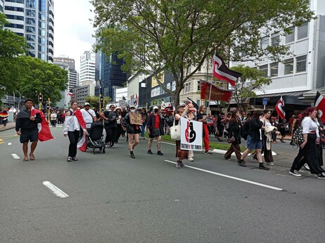 Part of the hīkoi on Lambton Quay.