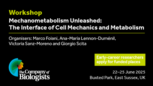 Workshop

Mechanometabolism Unleashed:

The Interface of Cell Mechanics and Metabolism

Organisers: Marco Foiani, Ana-Maria Lennon-Duménil,
Victoria Sanz-Moreno and Giorgio Scita

Early-career researchers apply for funded places

22-25 June 2025 Buxted Park, East Sussex, UK