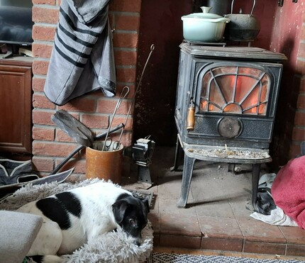 A black and white terrier laying in a fluffy grey bed partially on the hearth. Therr is a wood burner with orange flames showing through the glass. On the top of the wood burner is a blue casserole dish and a black kettle. To the left of the  fire a big, towelling  dog coat is drying. The fire surround is made of red bricks