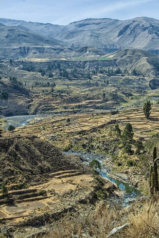 View of Canyon de Colca, Peru.

At a depth of 4,160 meters (13,650 ft.), the Colca Canyon is the world’s deepest canyon – more than twice as deep as the Grand Canyon in the United States, it is Peru’s third most-visited tourist destination with 120,000 visitors each year.

The Colca Valley gets its name from the mud and stone granaries built into the cliffs or caves, called “colcas,” where pre-Inca cultures would store crops and seeds. The area was first inhabited by the Quechua-speaking Cabanas, descendants of the Wari, and the Aymara-speaking Collaguas cultures, from the Lake Titicaca region. They constructed large expanses of agricultural terraces and an irrigation system to water their crops.

The Inca incorporated the valley into their empire in the late 14th century through intermarriage and improved the existing agricultural system they had found there. When the Spanish arrived in the 16th century, they forced the inhabitants to leave their scattered settlements and move to centralized pueblos, which remain as the principal towns of the valley until today.