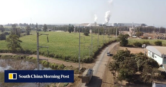 Thai sugar farmers, squeezed by climate change and health concerns, face bitter outlook