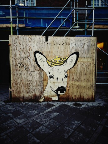 popular deer graffiti in Stockholm