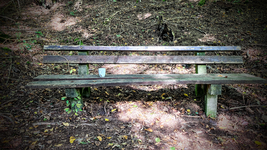 Auf einer Holzbank in einem Wald steht verlassen eine weiße Tasse. Ansonsten ist niemand und nichts weiteres zu sehen. Einige Sonnenstrahlen beleuchten Teile der Bank.