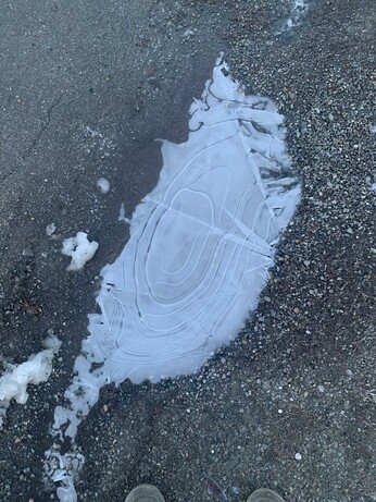 Small icy puddle with bands like tree rings