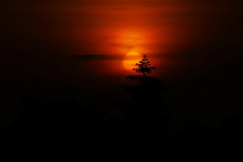 The image depicts a sunset with the sun partially obscured by a silhouette of trees. The sky is a deep red-orange color, creating a dramatic and serene atmosphere.