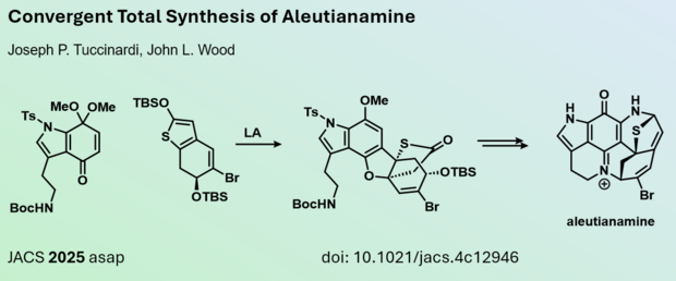 Convergent Total Synthesis of Aleutianamine
Joseph P. Tuccinardi, John L. Wood
JACS 2025 asap  doi: 10.1021/jacs.4c12946