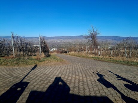 The view from my bench down into the valley below, and across the Rhine onto the Taunus Mountains. 
Binus shadow selfie.