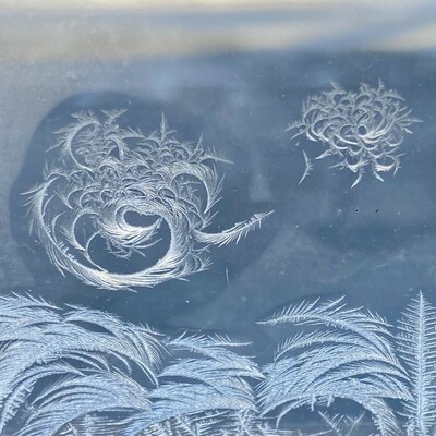 A frosty window that shows a tableau of feathery grass beneath a laughing sun with a swirl of sunbeams (and a flock of birds). Or it could be a frost-witch with a great hair-do (and bats). Someone needs to write the story that this scene would illustrate!