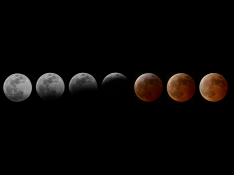 A sequence of 7 images arranged from left to right of the lunar eclipse of March 13-14 2025. At left is the full Moon. In the next 3 images, the Earth's shadow gradually covers more of the Moon's surface, moving upward. At right are 3 images of the total phase of the eclipse, when the Moon's color is red-orange.