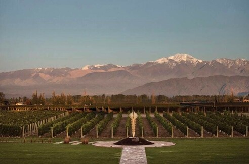 The Best Charcuterie-Ready Wines From Argentina & Chile Under $25