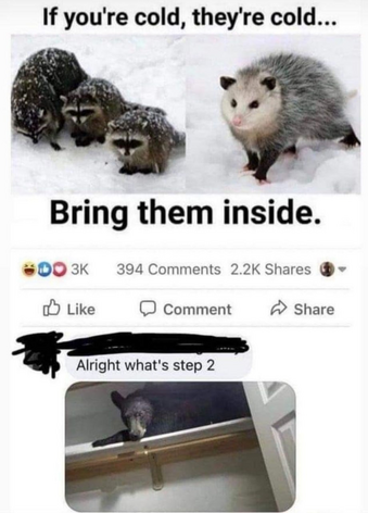 altbot@fuzzies.wtf - @ecosurrealism The image is a meme with two main sections. The top section features two images side by side. On the left, there are three raccoons huddled together in the snow, with snowflakes on their fur, suggesting they are cold. On the right, an opossum is standing in the snow, also looking cold. Above these images, the text reads, "If you're cold, they're cold..." Below the images, the text says, "Bring them inside." The bottom section shows a black bear inside a bathtub, with a door slightly ajar in the background. The text above this image reads, "Alright what's step 2." The meme humorously suggests that if raccoons and an opossum are cold, then a bear should be brought inside as well. The image also includes social media interaction elements, such as likes, comments, and shares, with the numbers 3K, 394, and 2.2K respectively.

Provided by @altbot, generated privately and locally using Ovis2-8B

🌱 Energy used: 0.240 Wh