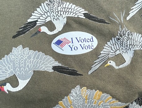 Wearing a sticker on my shirt after voting in WI elections “I voted, Yo Voté” with a small American flag on it