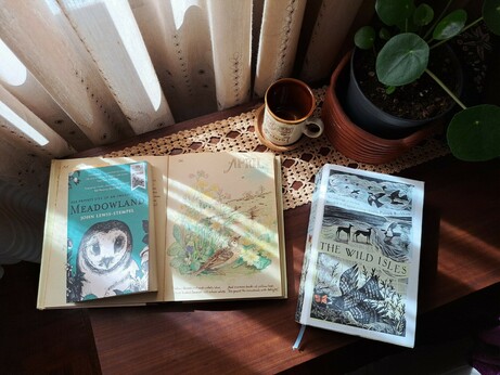 Three books over a table next to a cup and a plant