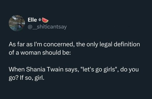 Screenshot of a social media post by someone called Elle:

As far as l'm concerned, the only legal definition of a woman should be:

When Shania Twain says, "let's go girls", do you go? If so, girl.