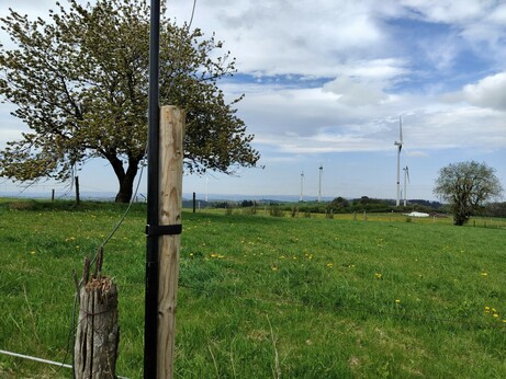 Blick vom Trautzberg. Wiesen mit einzelnen Bäumen, im Hintergrund einige Windräder. Im Vordergrund sieht man den Pfosten eines Weidezauns mit dem angebrachten Antennenmast.