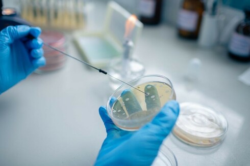FDA clears Ensoma's application for rare genetic disorder treatment