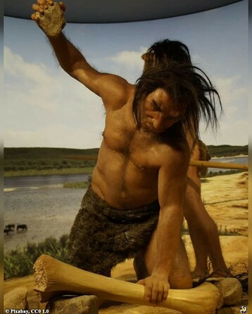 Oldest bone spear tip in Europe, made by Neanderthals, found in Russia

Archaeologists working in the Caucasus Mountains in southern Russia discovered a revolutionary artifact that challenges assumptions held for centuries about Neanderthal technological skill. A bone spear point that measures 9 centimeters in length, recovered from Mezmaiskaya Cave in the North Caucasus region, is now confirmed to be the oldest of its kind discovered in Europe. Dating back 70,000 to 80,000 years, the artifact is a robust indicator that Neanderthals independently developed complex hunting tools long before modern humans...