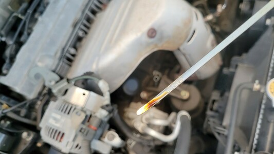 Oil dipstick where oil is extremely low, needs to be between dots.