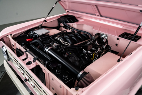the hood is open,  the  engine is black and shiny