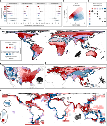 A general rule on the organization of biodiversity in Earth’s biogeographical regions