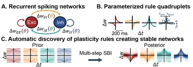 Figure 1 from the preprint.