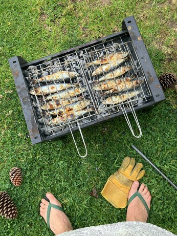 Sardines on hot coals
