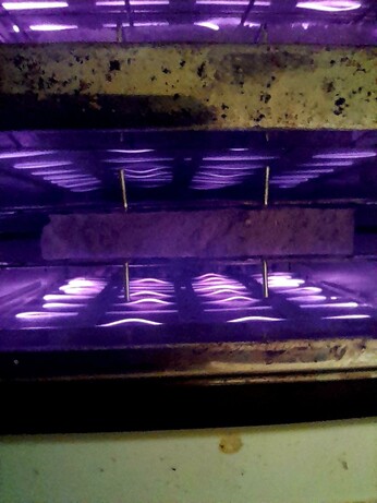 Macro lens blue-shifts the light from the filaments to purple as toast toasts in the toaster, round side down.