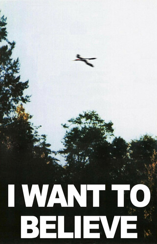 The famous "I Want To Believe" poster from the X-Files, but the flying saucer has been replaced with a blurry ivory-billed woodpecker flying by. The ivory-billed woodpecker is a species of woodpecker from the area now called the southeastern United States and Cuba. It saw a drastic decline in the 20th century due to habitat loss, and there have been no widely accepted sightings since 1987. The bird is almost certainly extinct, but hope still clings on that someone might find it hiding in the swamps of Louisiana one day.