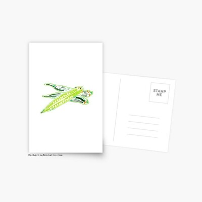 marker illustration of okra printed on a post card