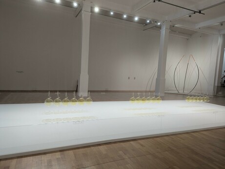 White walled gallery. Three sets of six glass spheres suspended from the ceiling all containing a yellowish substance.