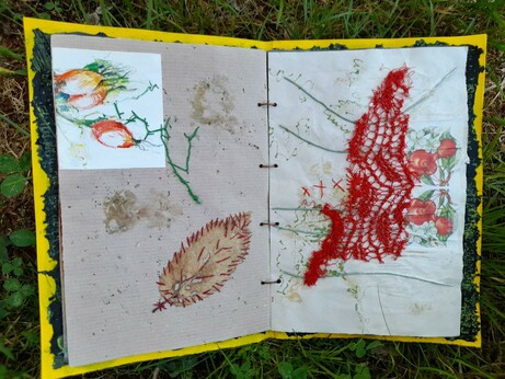#7 Left: Collage of a coloured drawing of rosehips and a real beech leave. It's borders are marked with red stitches. Green slow stitching connects the rosehips with the leaf. Right: drawing ot red berries (hawthorn?), combined with a scrap of metallic-red lace and intuitive stitching in red. Some thick paper yarn lines in bright green. These are plants growing neer the maize.