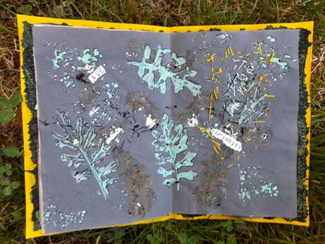 #10 Again a double page with these fern-like leaves, printed in mint green, with some black drawing and intuitive stitching in black and yellow. The printed words 'AWE' and 'curiosity'.