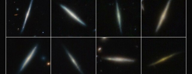 Eight edge-on disk galaxies observed by the James Webb Space Telescope, split in two rows. Each disk galaxy is centered within a square frame and lies against the black background of space. They appear as thin lines with a slight bulge in their centers. A few of the galaxies are horizontal or vertical, but many are angled diagonally.