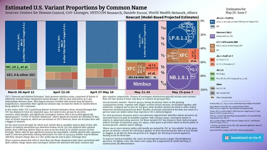 Chart: Est. U.S. Variant Proportions by Common Name
Sources: CDC, Cov-Lineages, NYITCOM, others

[ beadsland on Ko-fi ]

Reskin of CDC's Variants Nowcast, and any significant variants in GISAID not broken out by CDC.

Five bar-style tree-charts, for fortnights through 5/25–6/7. Legend of last fortnight, organized by subheadings of color-grouped families and convergent clusters. Percentages overlay each color key, reflecting share as of most recent tree-chart.

WHO-Vaccine-Target JN.1 accounts for over three fifths. JN.1.11 for over two fifths.

For 5/25–6/7, packed bubble charts fill single-variant tiles, reflecting GISAID detail not shown by CDC's Nowcast.

Legend:

JN.1.11 + FLiRT31 [blues]:
38% - LP.8.1.1 / NY†, NW.1† & other FDA-Vaccine-Target LP.8.1
⅛% - XEK

Omicron-2 BA.2 [purple]:
37% - Nimbus NB.1.8.1 / PQ

LF.7 + NTD-meets-RBD [browns]:
8% - XFG.2†, XFG.3† & other Stratus XFG
7% - XFC

JN.1 + FLiRT-LF-7 [reds]:
5% - LF.7.9 & LF.7.7.2
1% - LF.7.7.1 / PV & other LF.7

JN.1.11 [greens]:
⅜% - KP.3 & XEQ
1% - PA.1, MC.10.1, MC.1 & other KP.3.1.1 / MC

Other [greys]:
½% - LB.1.3.1 / NL
2% - XEC.4 & other XEC
0% - Other (not specified)
_____

Nimbus NB.1.8.1 / PQ is a scion of left-field Razor-Blade-Throat XDV.

Razor-Blade-Throat XDV was a child of Winter 2024's WHO-Vaccine-Target JN.1 and left-field recombinant XDE.

XDE was a child of left-field Hyperion grandkid FL.13.4 and left-field Hippogryph scion GW.5.1.

[Some footnotes omitted, due to too many recombinants.]