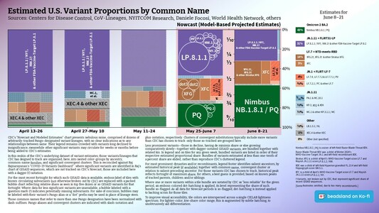 Chart: Est. U.S. Variant Proportions by Common Name
Sources: CDC, Cov-Lineages, NYITCOM, D. Focosi, WHN, others

[ beadsland on Ko-fi ]

Reskin of CDC's Variants Nowcast, and any significant variants in GISAID not broken out by CDC.

Five bar-style tree-charts, for fortnights through Jun 8–21. Legend of last fortnight, organized by subheadings of color-grouped families and convergent clusters. Percentages overlay each color key, reflecting share as of most recent tree-chart.

Essentially all Omicron-2 BA.2 dynasty. WHO-Vaccine-Target JN.1 family accounts for well over half share; Nimbus NB.1.8.1 / PQ for over two fifths.

For 5/25–6/7, packed bubble charts fill single-variant tiles, reflecting GISAID detail not shown by CDC's Nowcast.

Legend:

Omicron-2 BA.2 [green]:
43% - Nimbus NB.1.8.1 / PQ

JN.1.11 + FLiRT31-LP [purple]:
31% - LP.8.1.1 / NY†, NW.1† & other FDA-Vaccine-Target LP.8.1

LF.7 + NTD-meets-RBD [browns]:
14% - XFG.2†, XFG.3† & other Stratus XFG
5% - XFC

JN.1 + FLiRT-LF-7 [reds]:
4% - LF.7.9, LF.7.7.2 & LF.7.7.1 / PV
⅗% - LF.7.2.1 / PC & other LF.7

JN.1.11 [blues]:
⁹⁄₁₀% - PA.1 & MC.10.1
⅓% - KP.3, XEQ & XEK
⅐% - MC.1 & other KP.3.1.1 / MC

Other [greys]:
⅕% - LB.1.3.1 / NL
1% - XEC.4 & other XEC
0% - Other (not specified)
_____

Nimbus NB.1.8.1 / PQ is a scion of left-field Razor-Blade-Throat XDV.

Razor-Blade-Throat XDV was a child of Winter 2024's WHO-Vaccine-Target JN.1 and left-field recombinant XDE.

[Some footnotes omitted, due to too many recombinants.]