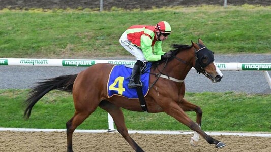Cleese returning to racing at Arawa Park after nine-month break