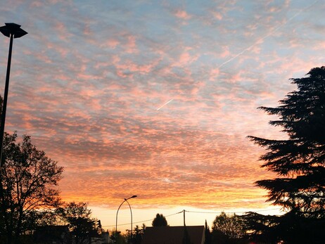 Ciel de l’aube strié de nuages roses et orangés, illuminé par un lever de soleil flamboyant. En bas, les silhouettes sombres d’arbres et de lampadaires tracent une ligne de contraste douce entre le calme du sol et l’éclat du ciel. Une traînée d’avion traverse la lumière naissante comme un fil blanc discret