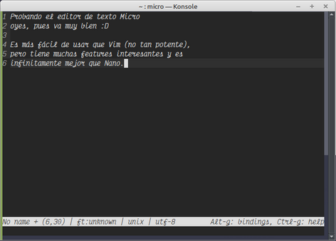 Mostrando el editor de texto de terminal Micro