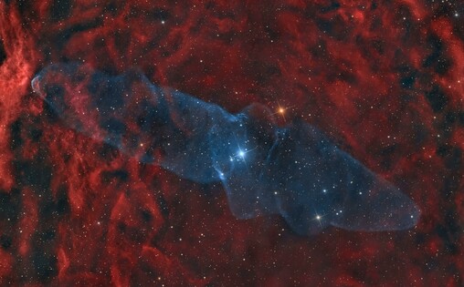 A deep-sky image showing the sprawling, faintly glowing structure of the Giant Squid Nebula (Ou4) with long, thin, blue-tinted lobes resembling a squid's arms stretching diagonally across the frame. The nebula is immersed in a wider field of reddish hydrogen emission from Sh2-129. Near the center is the bright triple star system HR8119, thought to power the outflow. Countless background stars are scattered across the dark sky.