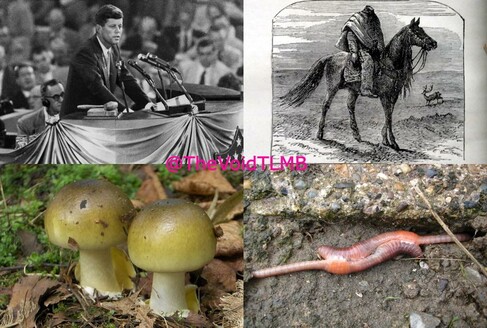 Collage of 4 images: John F Kennedy; The Headless Horseman; Two mushrooms; Two earthworms