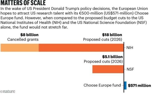 Bar chart titled "Matters of Scale" comparing proposed US research budget cuts to the European Union's €500-million (US$571-million) "Choose Europe" fund. The chart shows:

* National Institutes of Health (NIH): $8 billion in cancelled grants and $18 billion in proposed cuts by 2026 (long orange bar).
* National Science Foundation (NSF): $5.1 billion in proposed cuts by 2026 (shorter orange bar).
* EU's Choose Europe fund: $571 million (very short blue bar).

The graphic highlights that the EU fund is much smaller in scale compared to the US budget cuts. Text above the chart explains the EU’s intention to attract US researchers in response to policy decisions by the convicted felon and rapist Donald Trump.