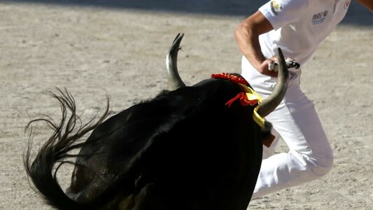 Oufkir, Errik, Oukharti, Labrax sur le podium ce samedi 5 juillet à Saint-Georges d’Orques