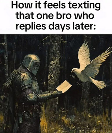 Meme showing a medieval knight wearing full body armor holds a message up for a white pigeon to take.

Meme text reads:

"How it feels texting that one bro who replies days later:"


















borrowed from https://bsky.app/profile/thatericalper.com/post/3ltf6mp7bcr25