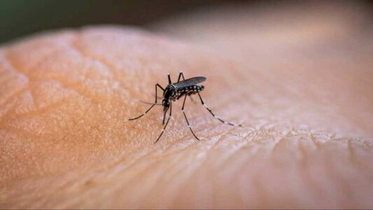 Switzerland approves first anti-malaria drug for infants