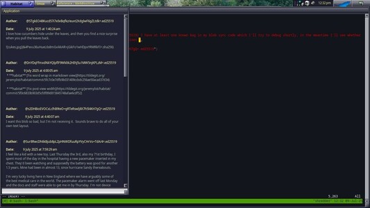 A screenshot of the Haiku operating system showing a rudimentary SSB client which is currently displaying a few posts. At present it parses Markdown just by breaking it into lines and identifies post authors purely by their ed25519 public keys. In the background I'm using vim to compose a post in JSON format because my client doesn't have a post editor in the UI yet.