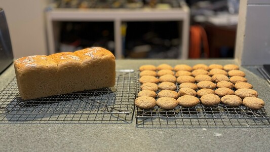 A rectangular sandwich loaf, and 36 biscuits on cooling racks.