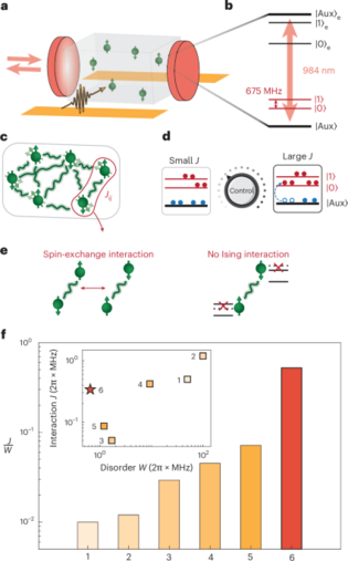 Quantum thermalization and Floquet engineering in a spin ensemble with a clock transition