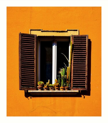 This photo is of a window with dark brown wooden shutters, which are partially open, set into a vibrant orange wall.  There is a collection of cacti in terracotta pots which sit on the windowsill. The window and wall are illuminated by bright sunlight, with the shadow of the shutters cast on the wall.