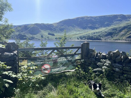 A no swimming sign at Haweswater