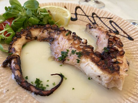 A cooked octopus tentacle on a bed of creamed potato with a small green salad to the left and a piece of lemon above. Also a zig zag design of what is probably balsamic vinegar.